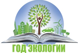 logo eco year